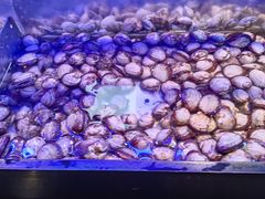 -盛江山自助料理(奥莱锦辉购物广场店)