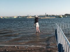 -碧海金沙
