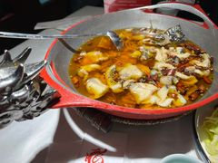 -雲蜀龙阁·金牌水煮鱼(方庄店)