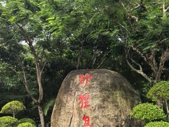 -野狸岛