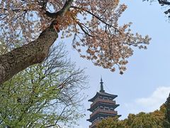 -大明寺素斋