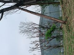 -桂溪生态公园