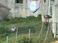 -无锡动物园·太湖欢乐园