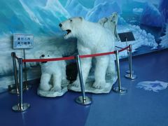 -多彩贵州城极地海洋世界