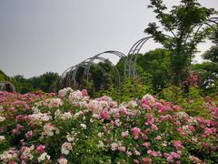 -尚贤河湿地