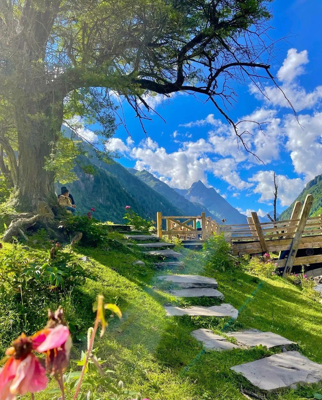 大自然的绝美风景