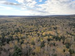 -汤旺河林海奇石景区