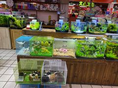-运河通源农贸市场