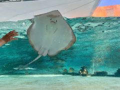 -新加坡水上探险乐园