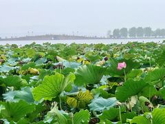 -杭州西湖风景名胜区-北街寻梦
