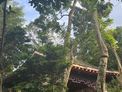 -海口观澜湖火山温泉谷