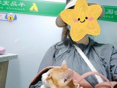 -半岛宠物医院24小时(科华中路店)