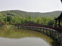 -石塘人家