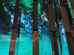 -桂满陇·海市蜃楼·黑金(国金店)