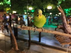 -酷嗒动物文化乐园(cutezoo西溪乐天城店)