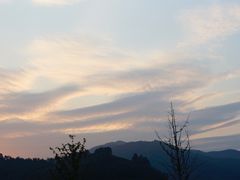 -径山花海