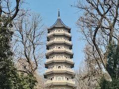-灵谷景区