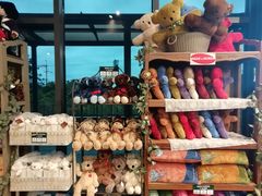 -济州岛泰迪熊博物馆