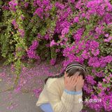 小区门口惊现🌺三角梅“瀑布”墙