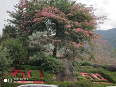 -广州市石门国家森林公园