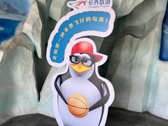 -杭州长乔极地海洋公园