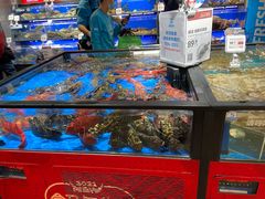 水产区-盒马鲜生(双清路店)