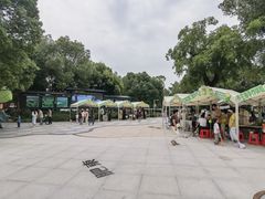 -合肥滨湖国家森林公园