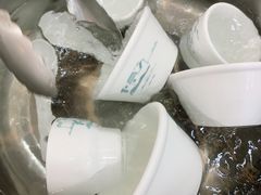 -源港渔村-中山脆肉鲩(博罗店)