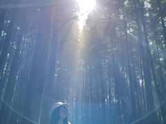 -山王坪喀斯特国家生态公园