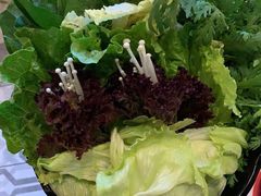 -手选潮汕鲜活牛肉火锅(二七广场店)