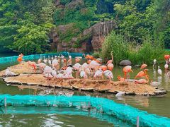 -宁波野生动物园
