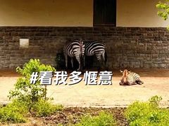 -上方山森林动物世界