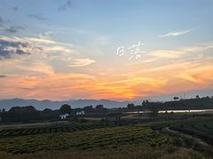 -杨家堂村