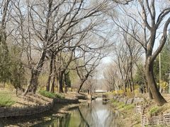 -北坞公园