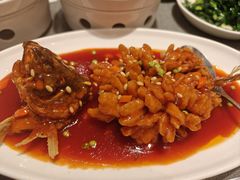 -新吉士·上海菜(浦东LCM置汇旭辉店)