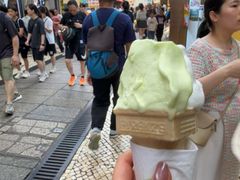 -柠檬车露(卖草地店)
