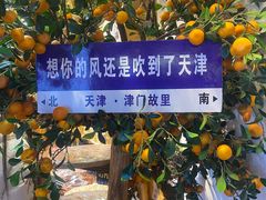 -古文化街旅游区