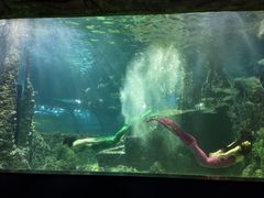 -嘉兴海底世界