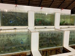 -海盗餐厅