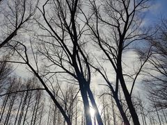 -国家植物园南园