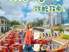 -Big Bus Tours 敞篷观光巴士