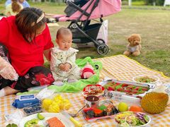 -杭州城北体育公园