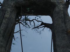 -西青郊野公园