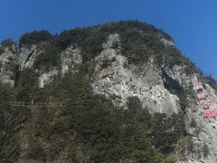 -秦岭天竺山生态文化旅游景区