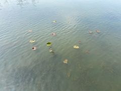 -前关湿地公园