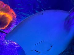 -沈阳海洋探索中心