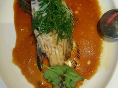 -金苑海鲜酒家(来魅力店)