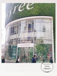 -悦诗风吟innisfree
