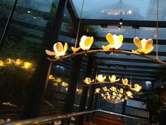 -唐猫庭院·千年陕菜(大唐不夜城店)