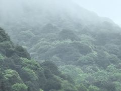 -北仑森林植物园